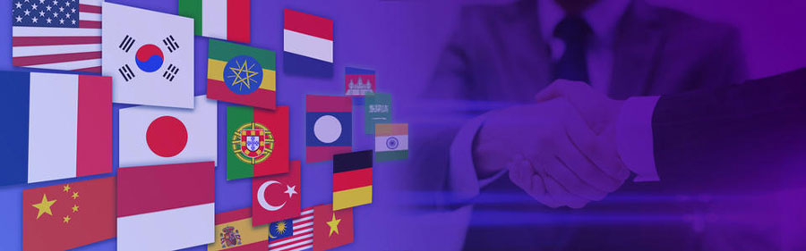 宁德小语种网站建设  第2张